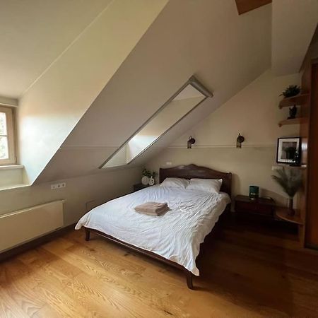 Old Town Apartment With Free Parking Vilnius Eksteriør bilde