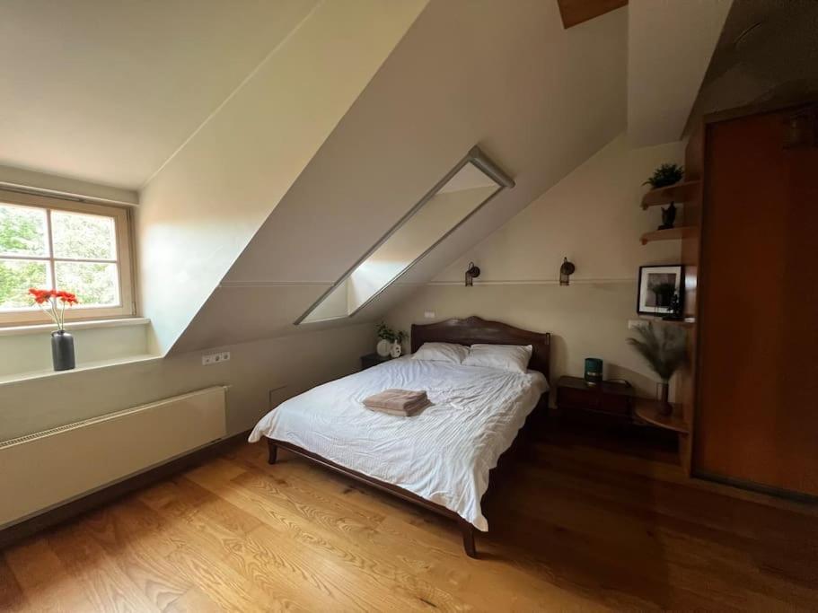 Old Town Apartment With Free Parking Vilnius Eksteriør bilde